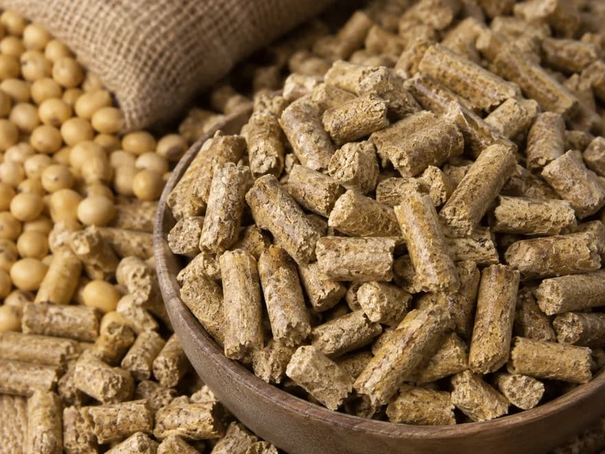 Soya Küspesi